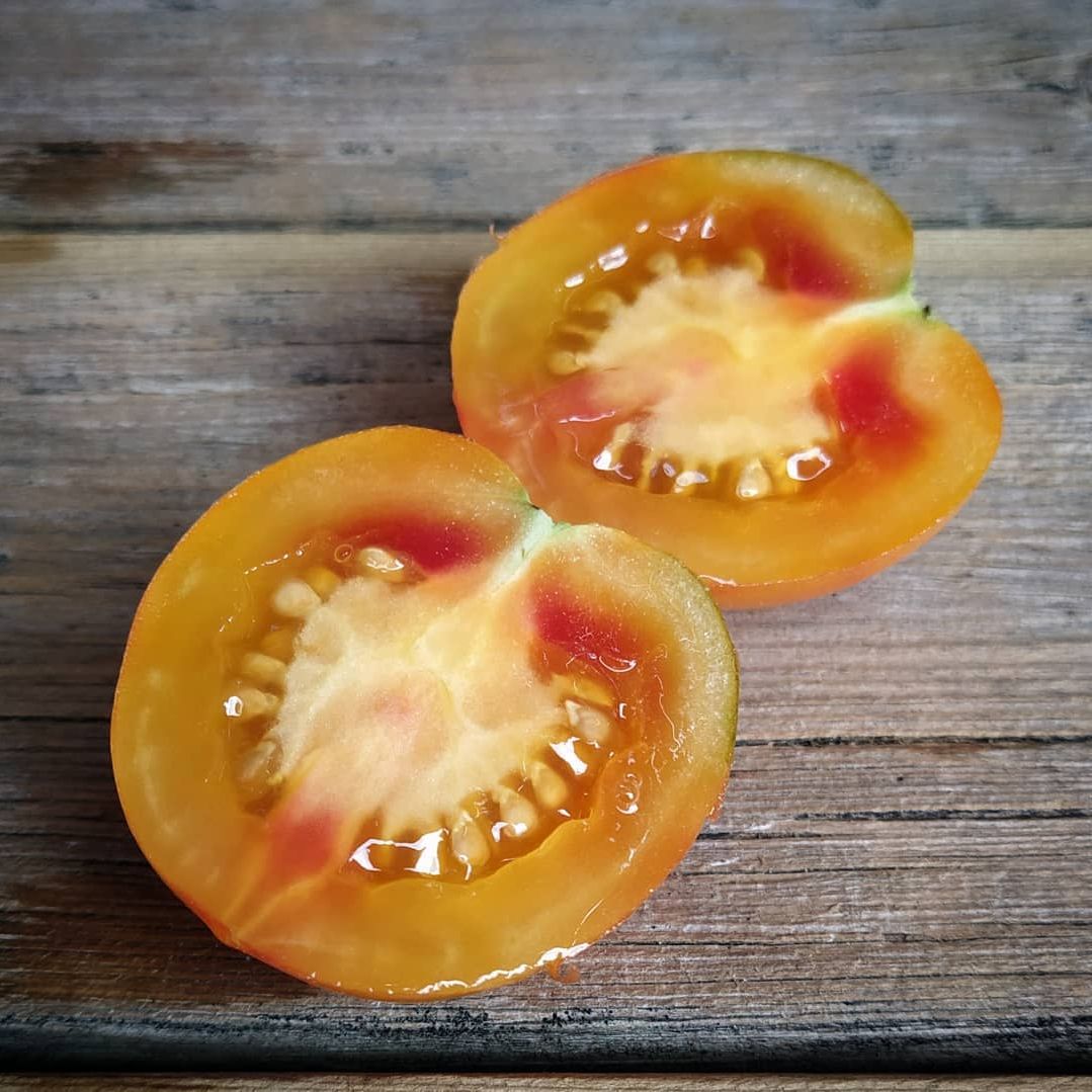 KARMA Apricot