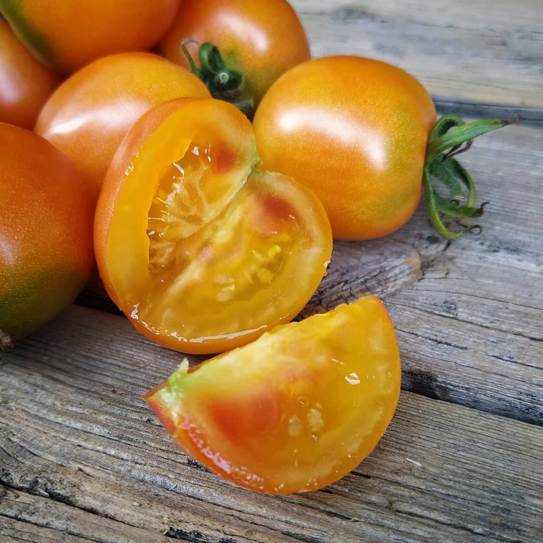 KARMA Apricot