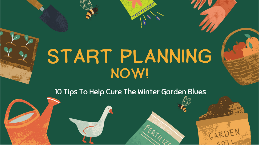 10 Things Anyone Can Do To Prepare For Tomato Season