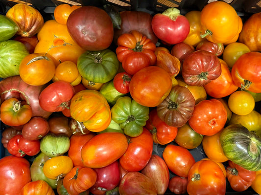 Breaking Down the Different Flavor Profiles of Tomatoes