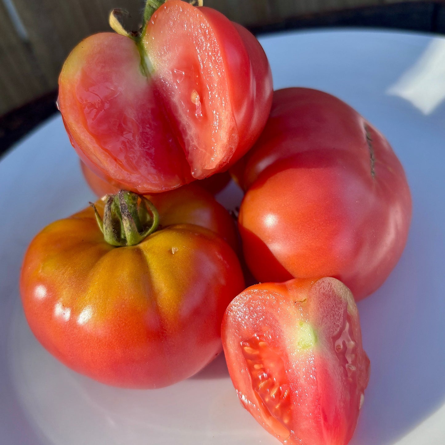 rose tomato seeds ARCTIC ROSE DWARF TOMATO SEEDS