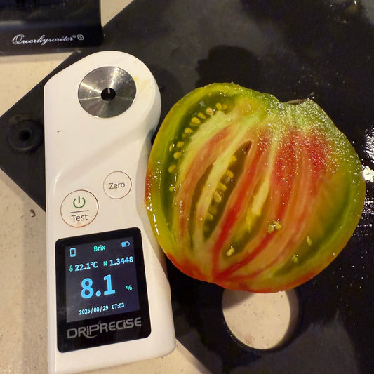 SWEET TRUFFLE HEART (F6) TOMATO SEEDS