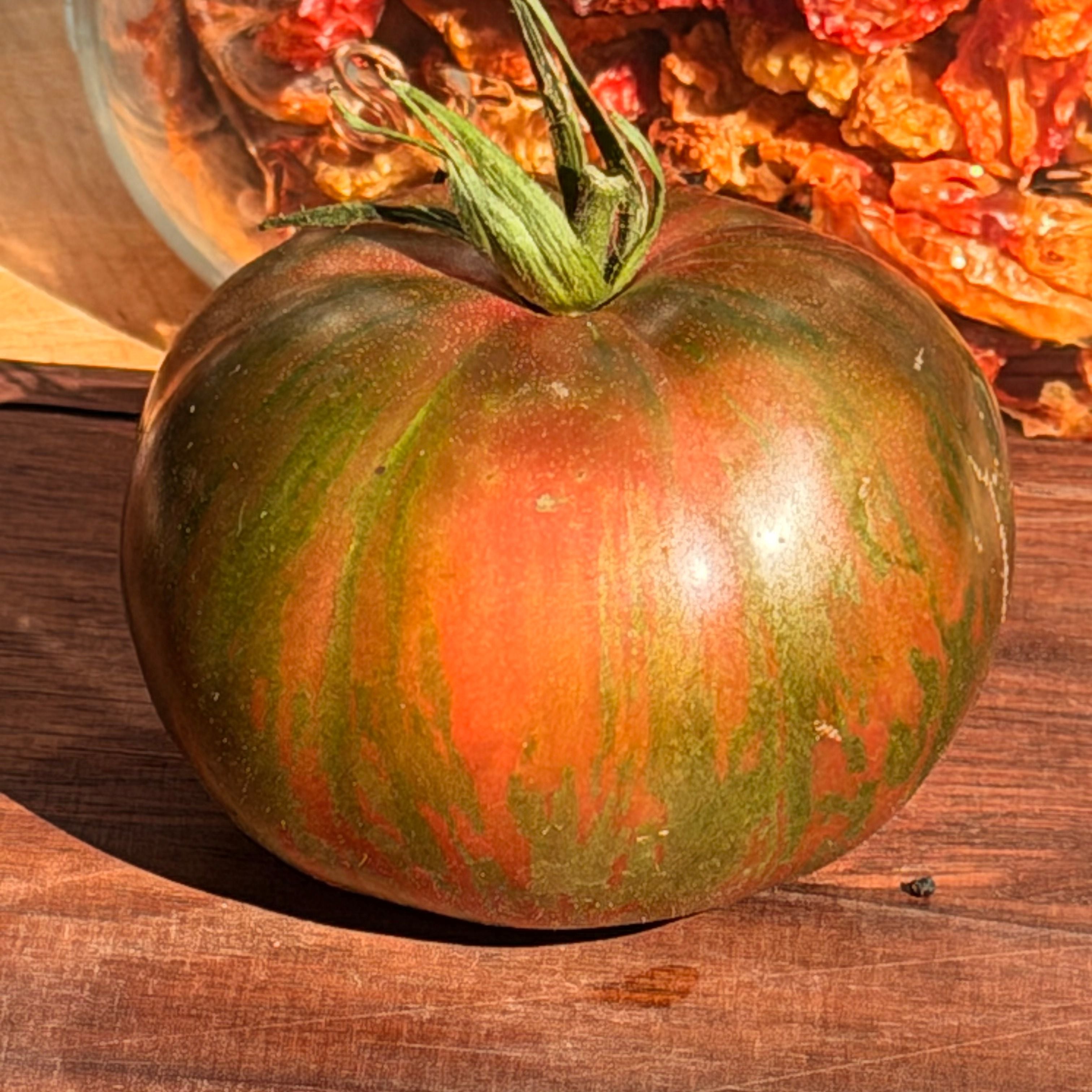 KOZULA 24 TOMATO SEEDS – Secret Seed Cartel