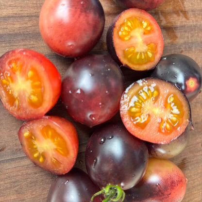 MICRO MARS TOMATO SEEDS