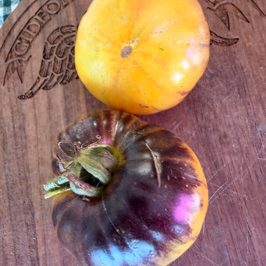DELICIOUS CHEEKS TOMATO SEEDS