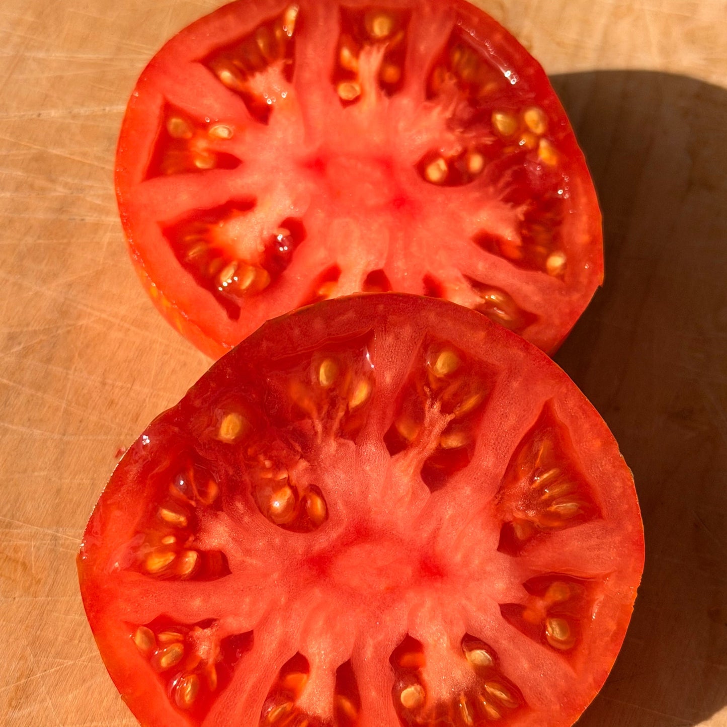 Solar Flare Tomato Seeds