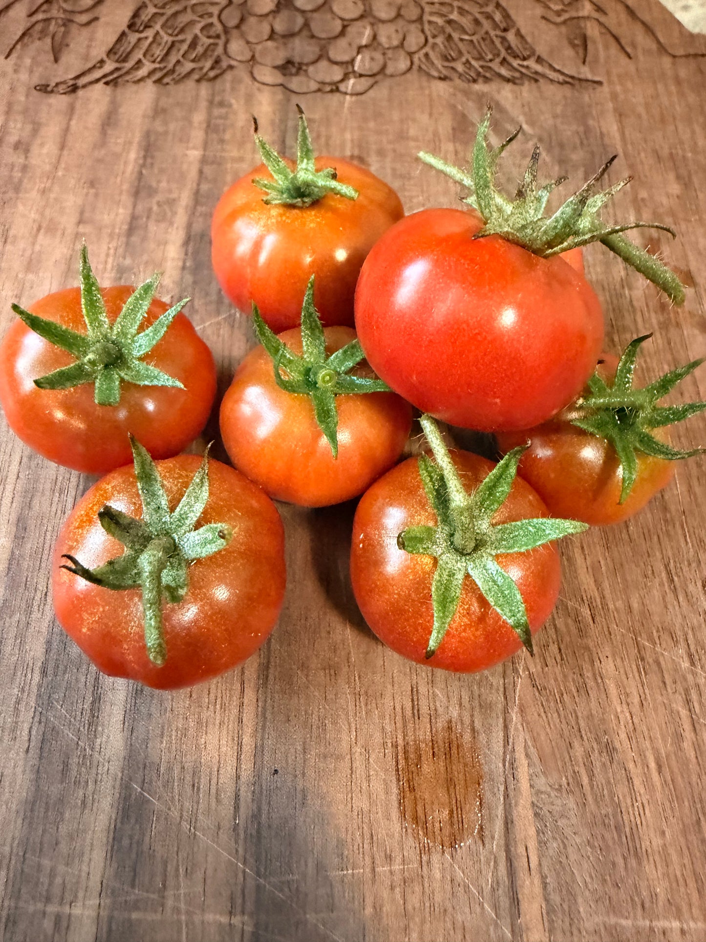 PETIT CHOCOLATE TOMATO SEEDS