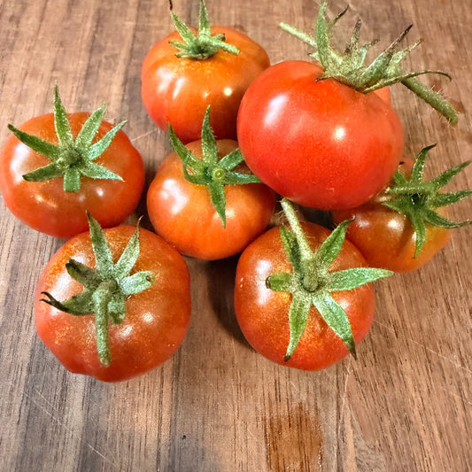 PETIT CHOCOLATE TOMATO SEEDS