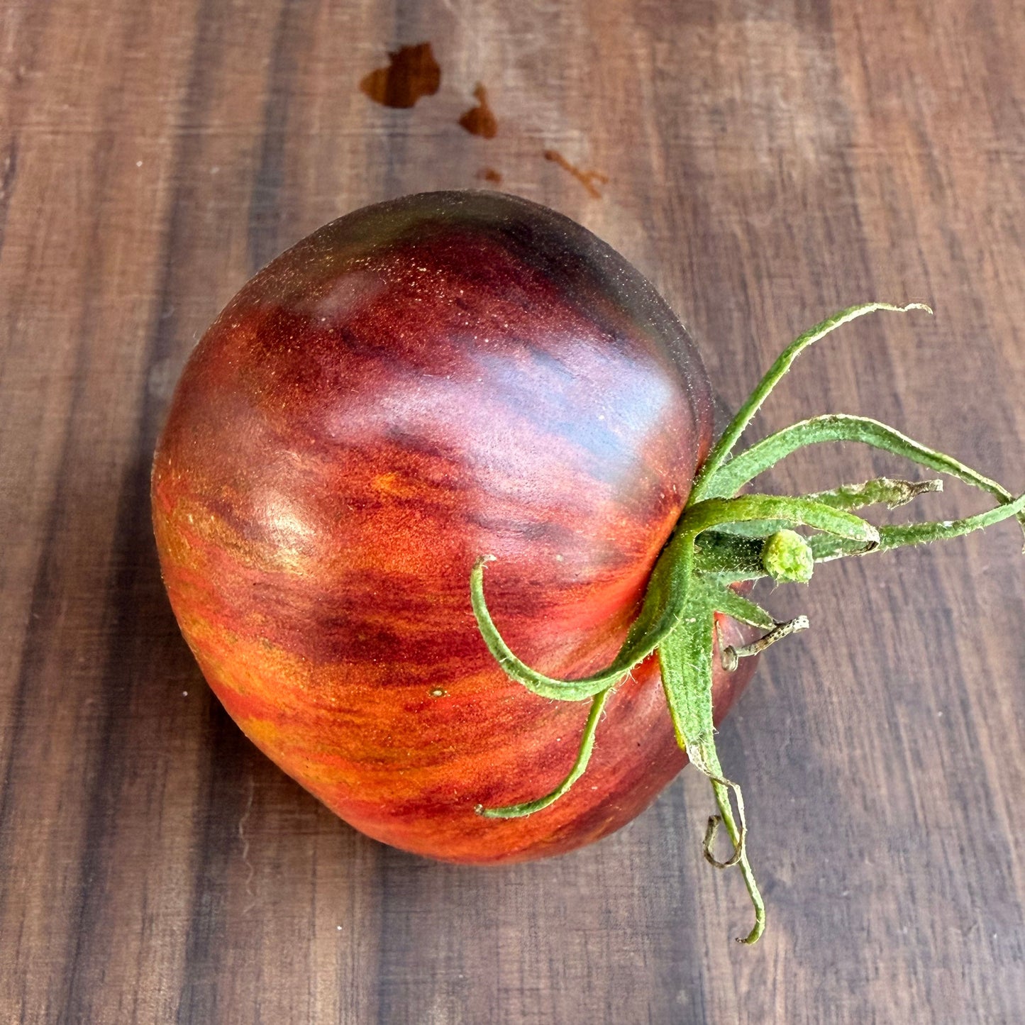 SOFIA’S FIERY COMET TOMATO SEEDS