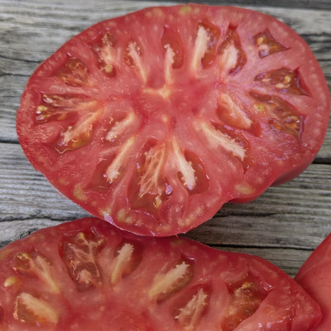 Strawberry Lemonade Dwarf