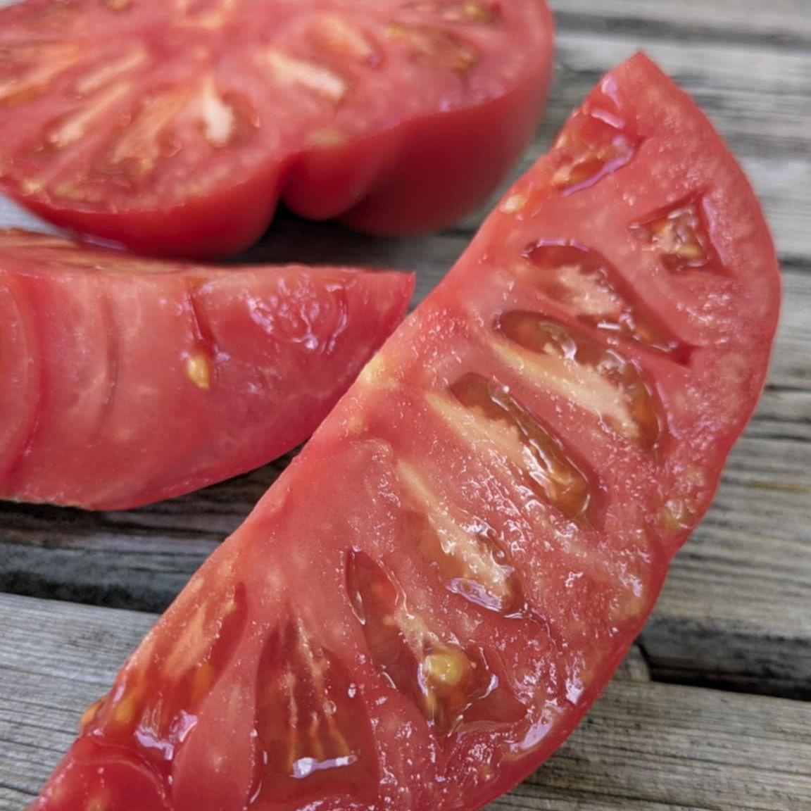 Strawberry Lemonade Dwarf