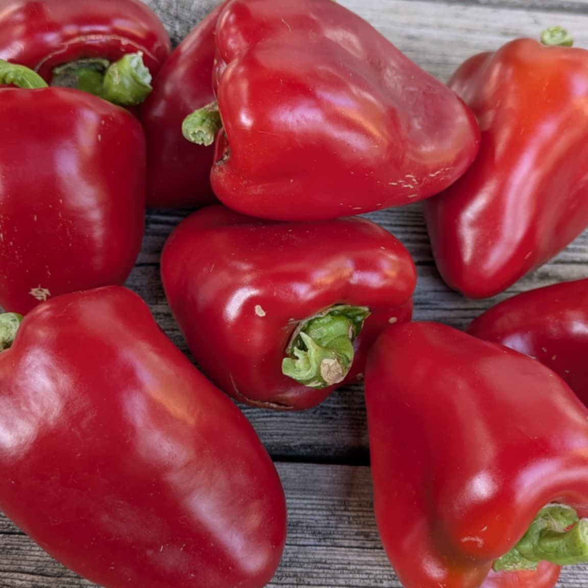 Piquillo Lodosa Basque Pepper