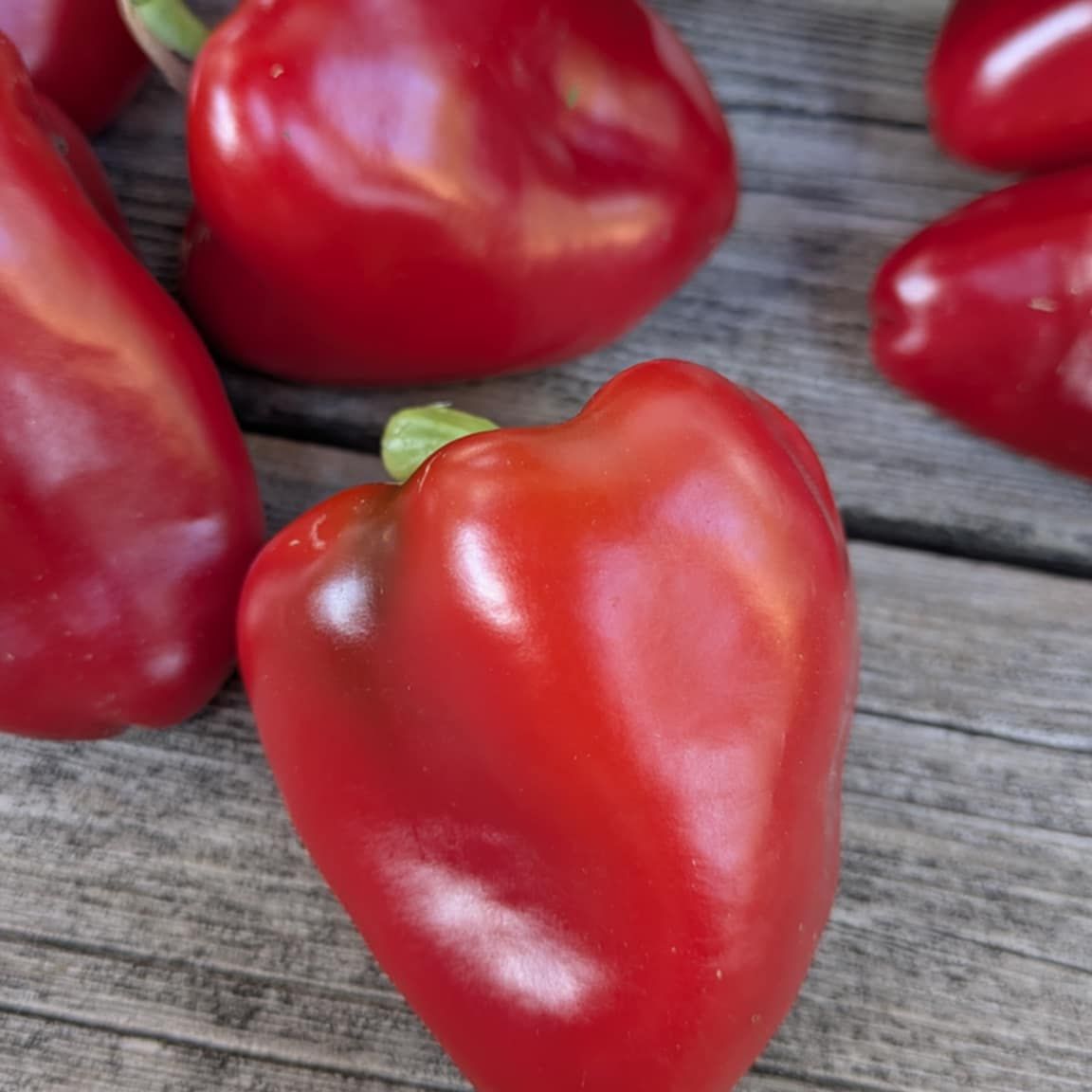 Piquillo Lodosa Basque Pepper