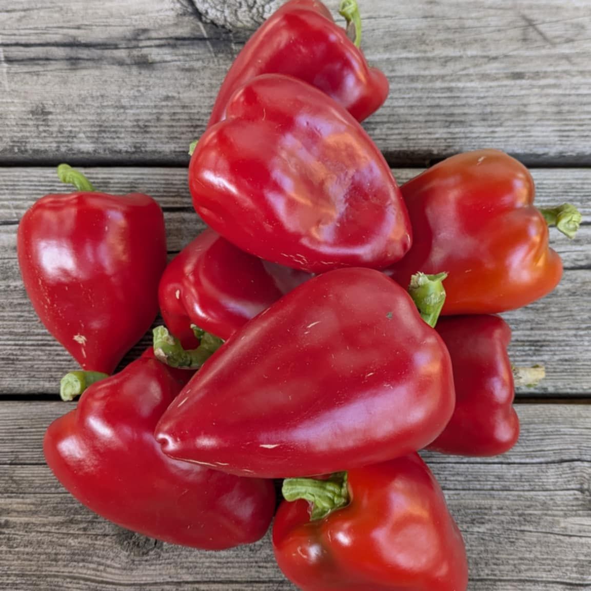 Piquillo Lodosa Basque Pepper