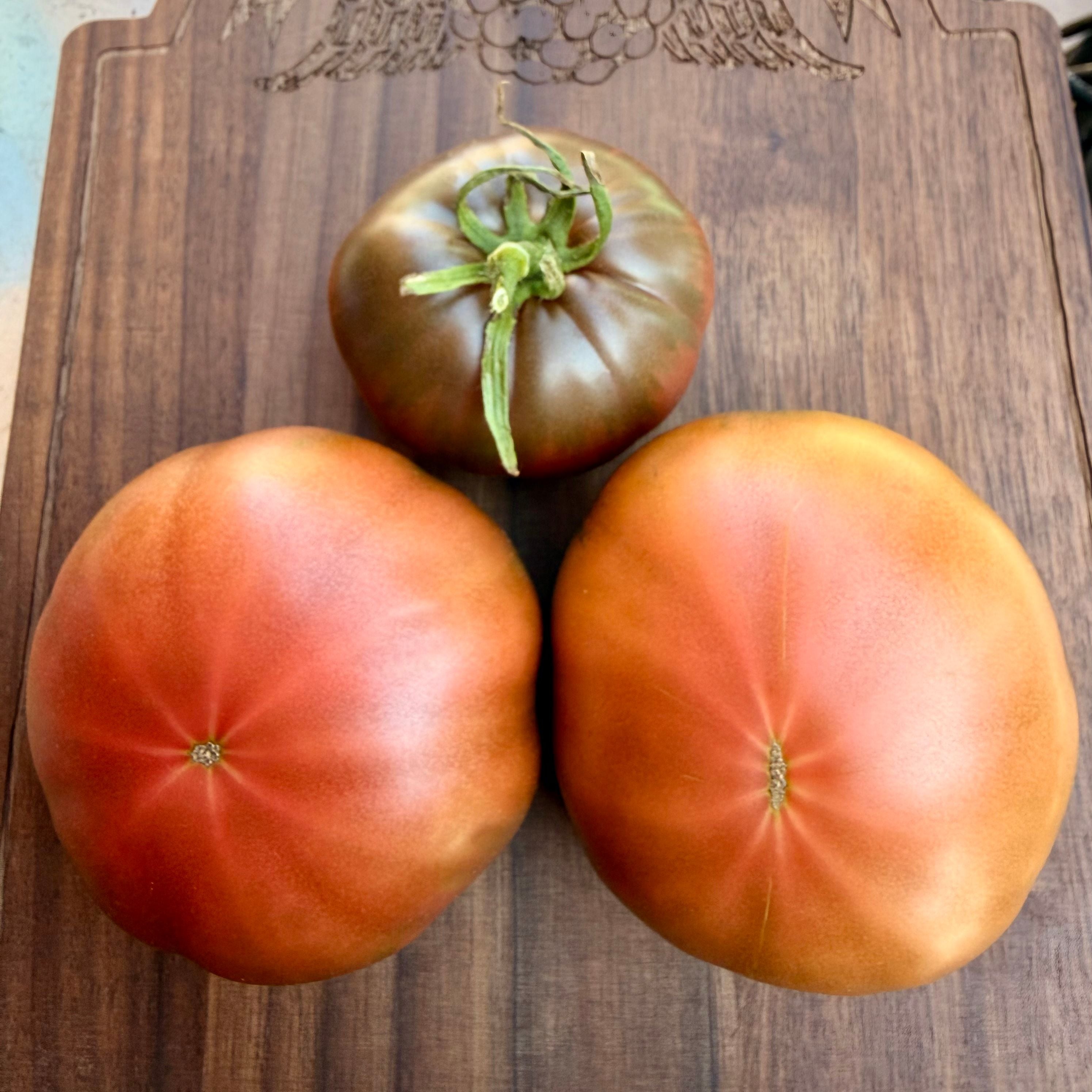 KOZULA 20 TOMATO SEEDS – Secret Seed Cartel