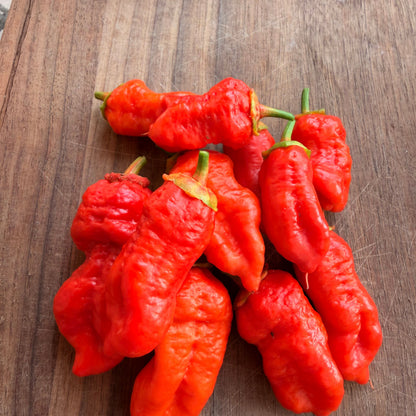 FRANKENSTEIN BBG PEPPER SEEDS