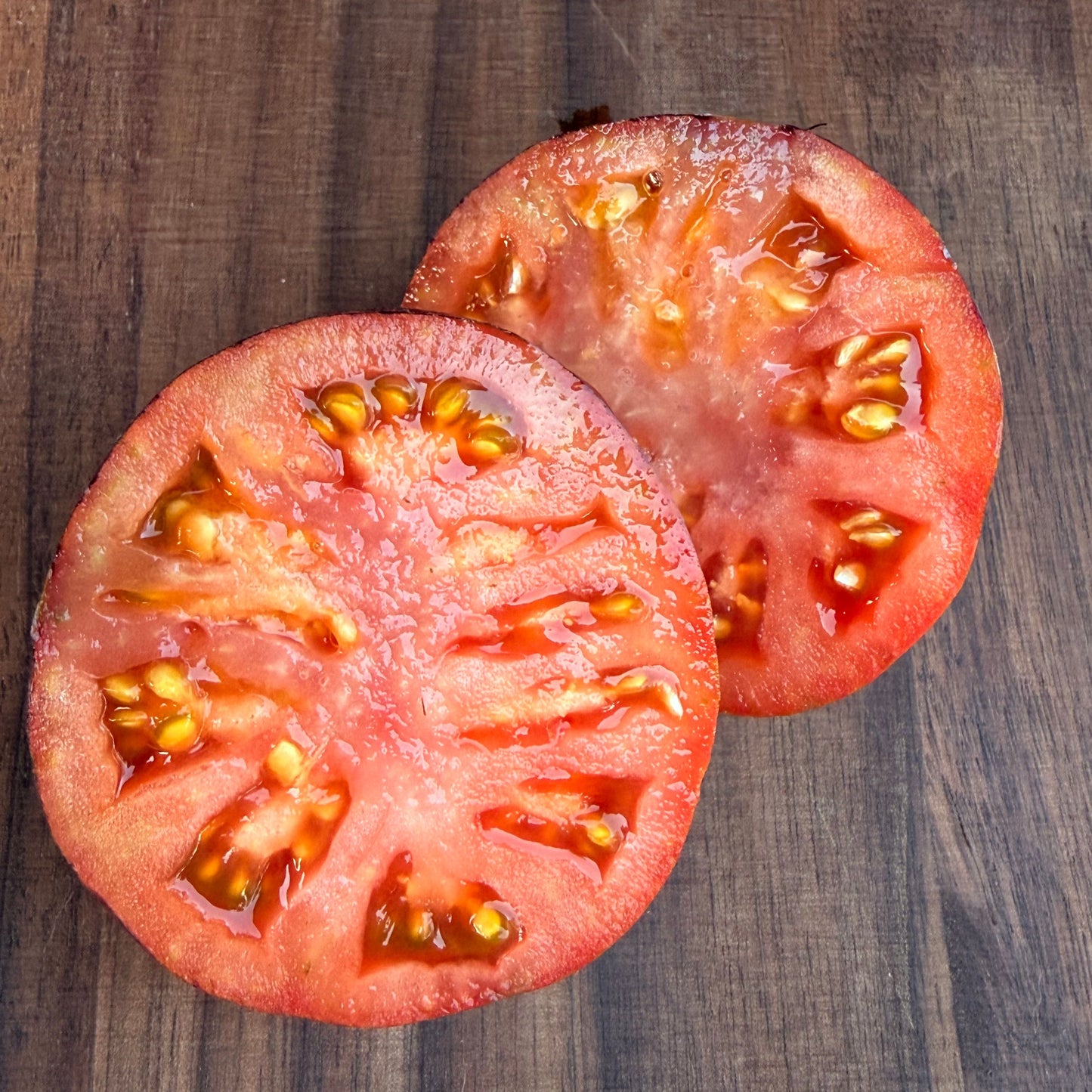 SOFIA’S FIERY COMET TOMATO SEEDS
