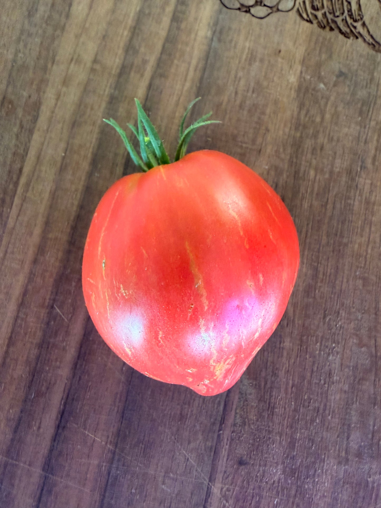 NOBODYS HERO TOMATO SEEDS