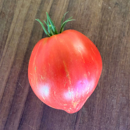 NOBODYS HERO TOMATO SEEDS