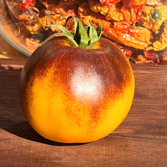 IN BETWEEN DAYS TOMATO SEEDS