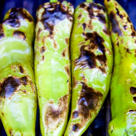RATTLESNAKE HATCH CHILI SEEDS