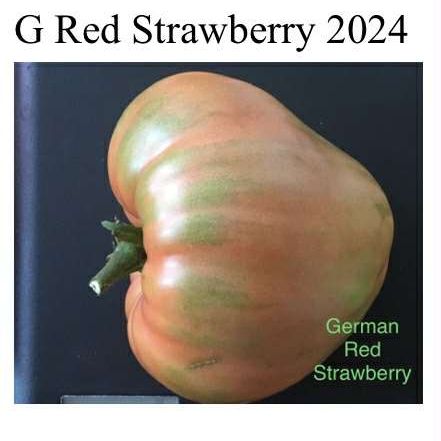 German Red Strawberry Tomato Seeds