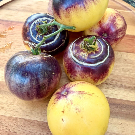 Dirty Curty Yellow Tomato Seeds