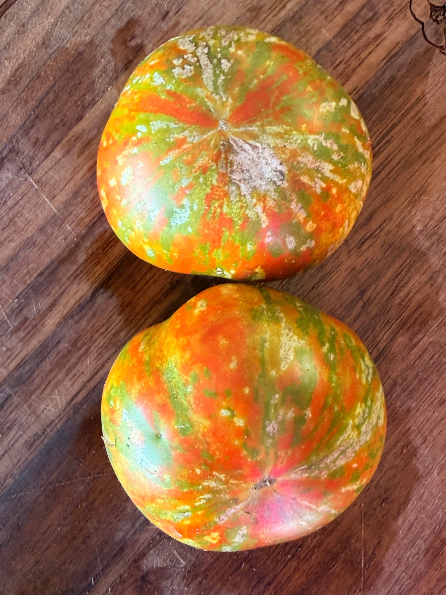 SARANDIPITY DWARF TOMATO SEEDS