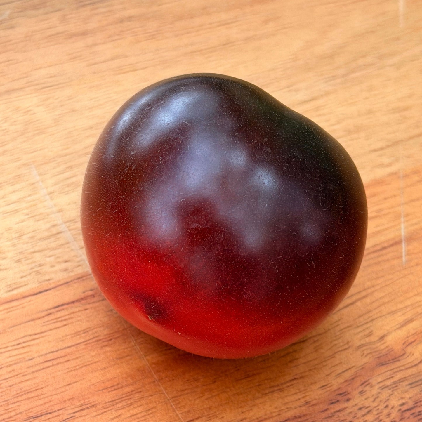 BLUE CASCADE CHERRY TOMATO SEEDS