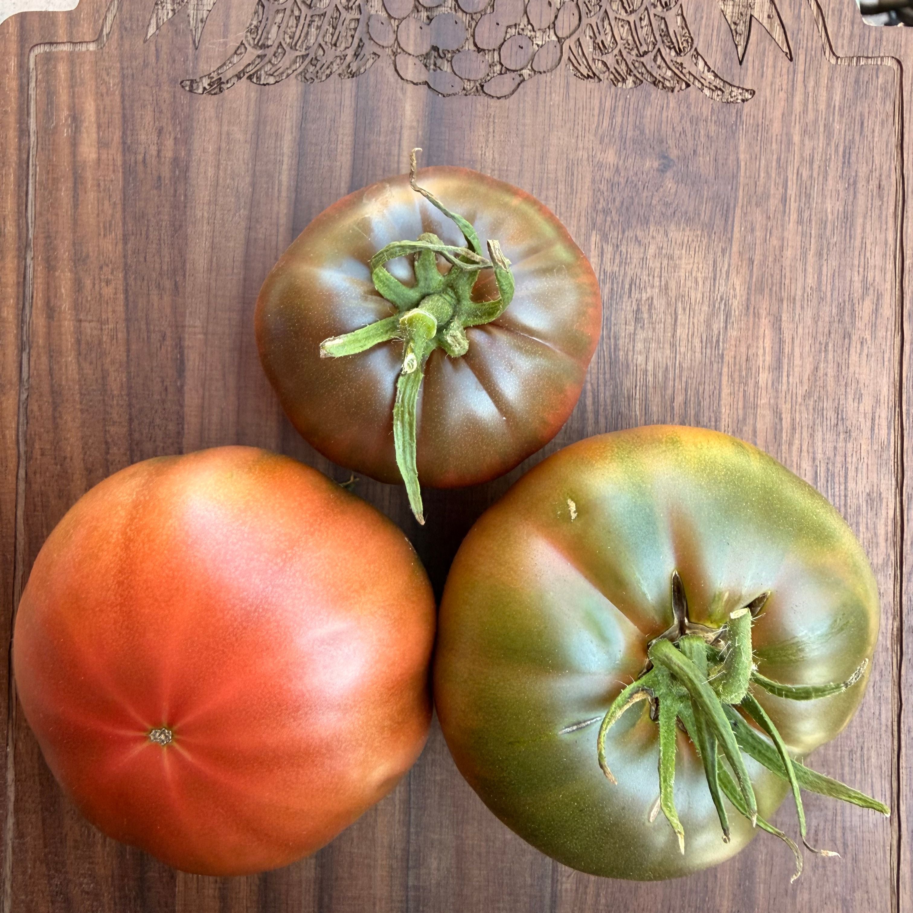 KOZULA 20 TOMATO SEEDS – Secret Seed Cartel