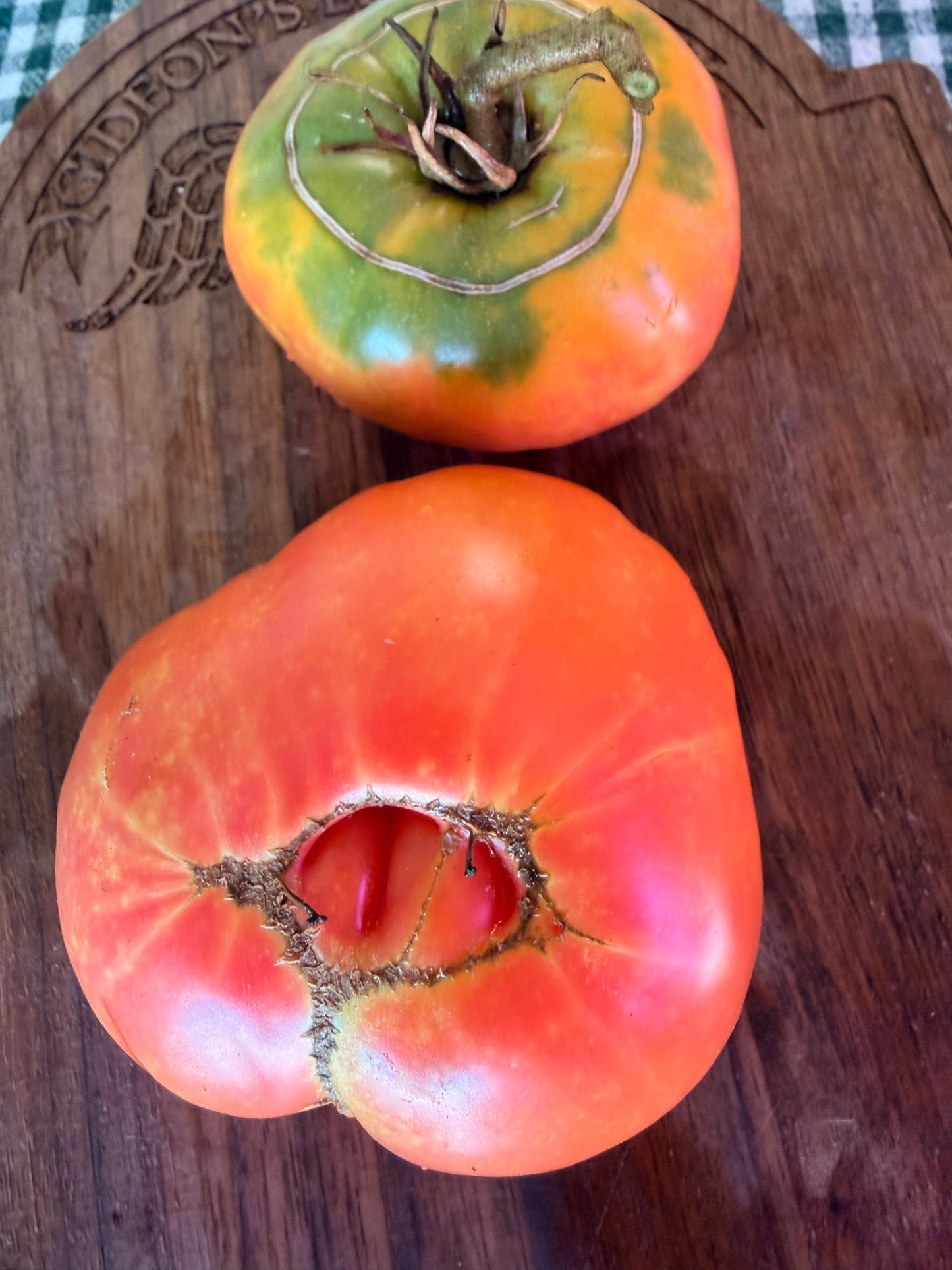 ALLEGHENEY SUNSET TOMATO SEEDS