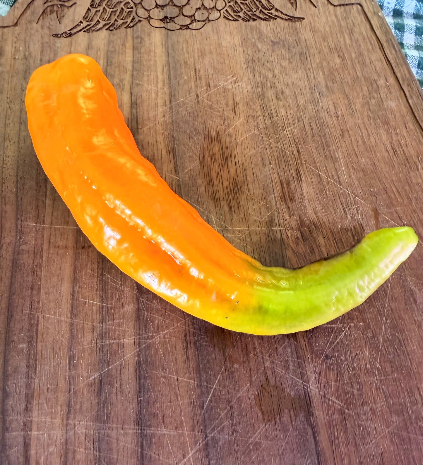GIANT SWEET DEVILS HORN PEPPER SEEDS