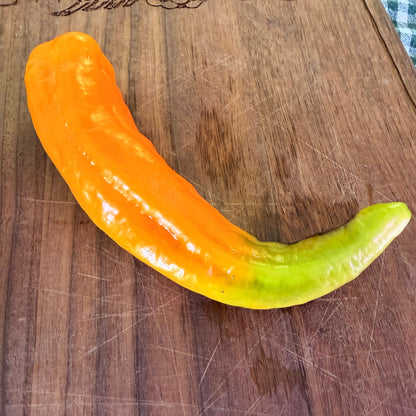 GIANT SWEET DEVILS HORN PEPPER SEEDS