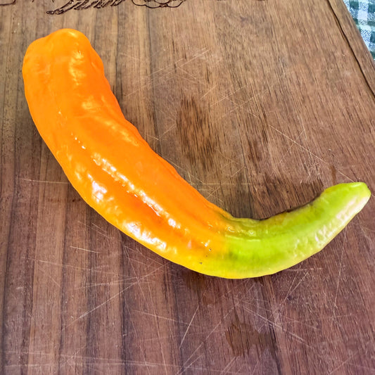 GIANT SWEET DEVILS HORN PEPPER SEEDS