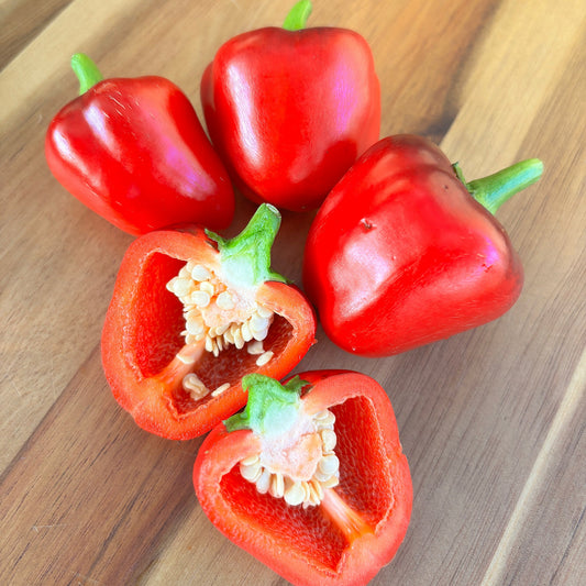 LESYA MINI RED PEPPER SEEDS