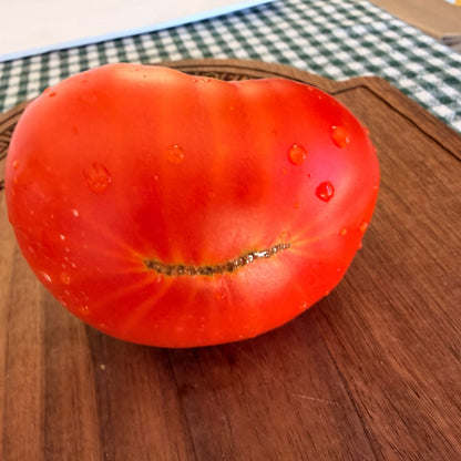 ABANILLAS TOMATO SEEDS
