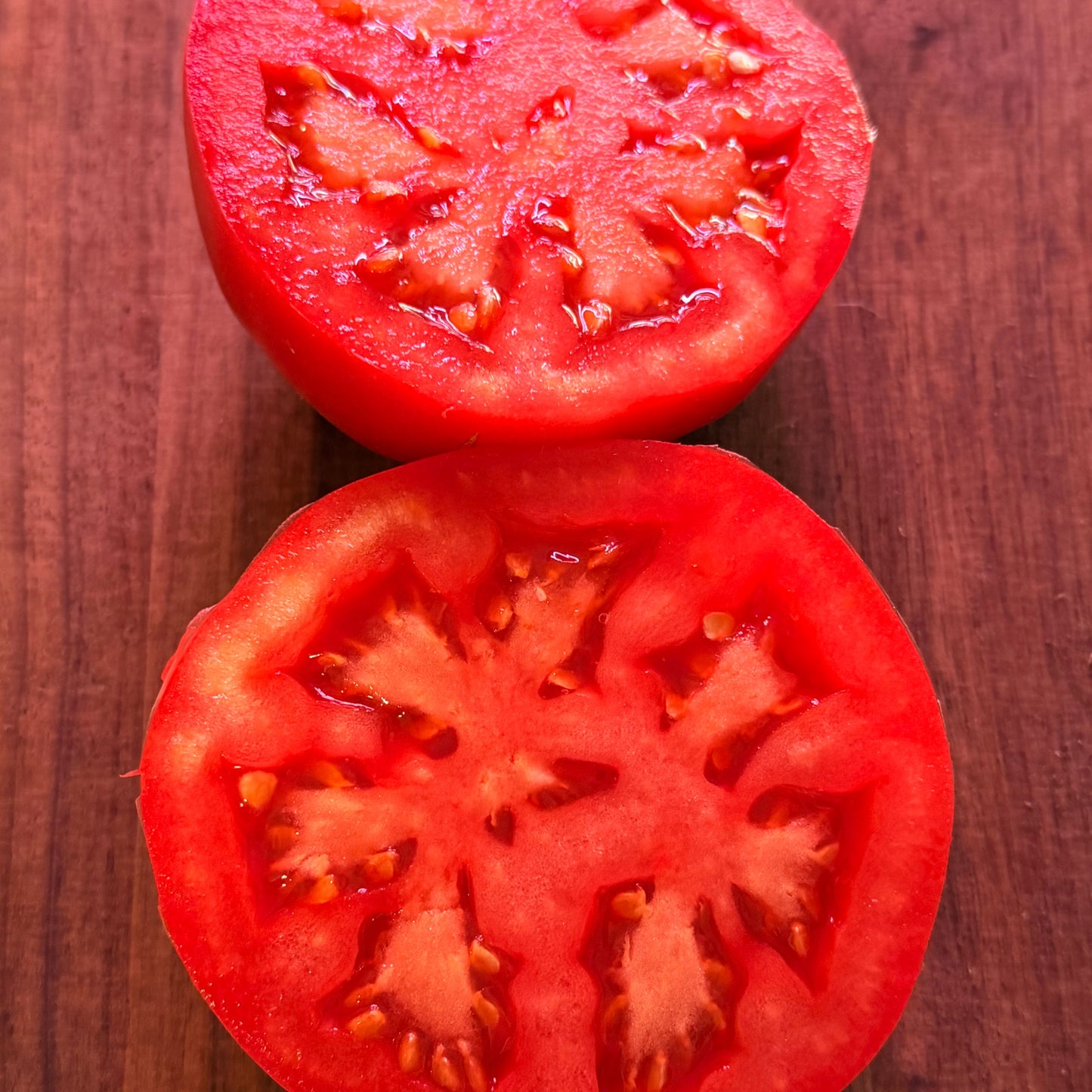 KOZULA 52-2 TOMATO SEEDS