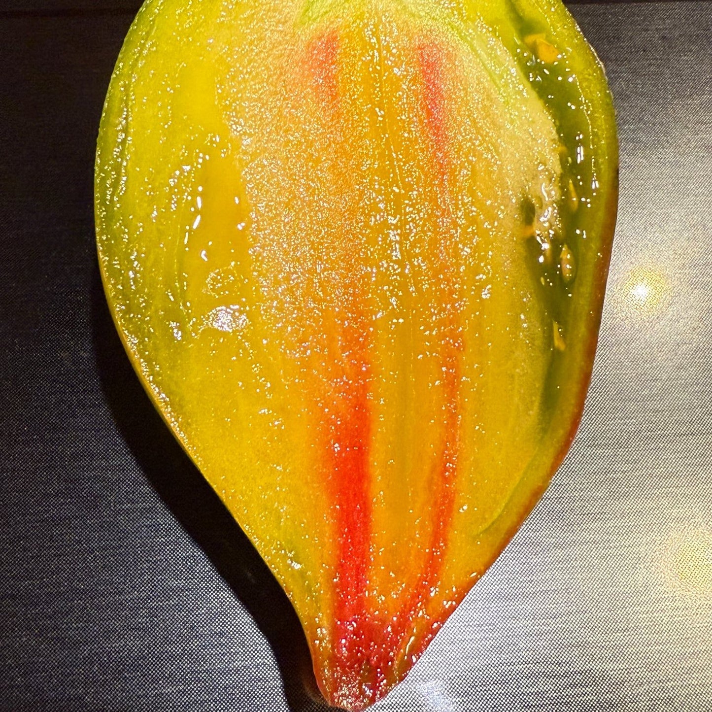 MAGIC RAINBOW TOMATO SEEDS