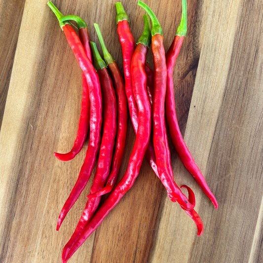 SHUHORN LONGHORN PEPPER SEEDD