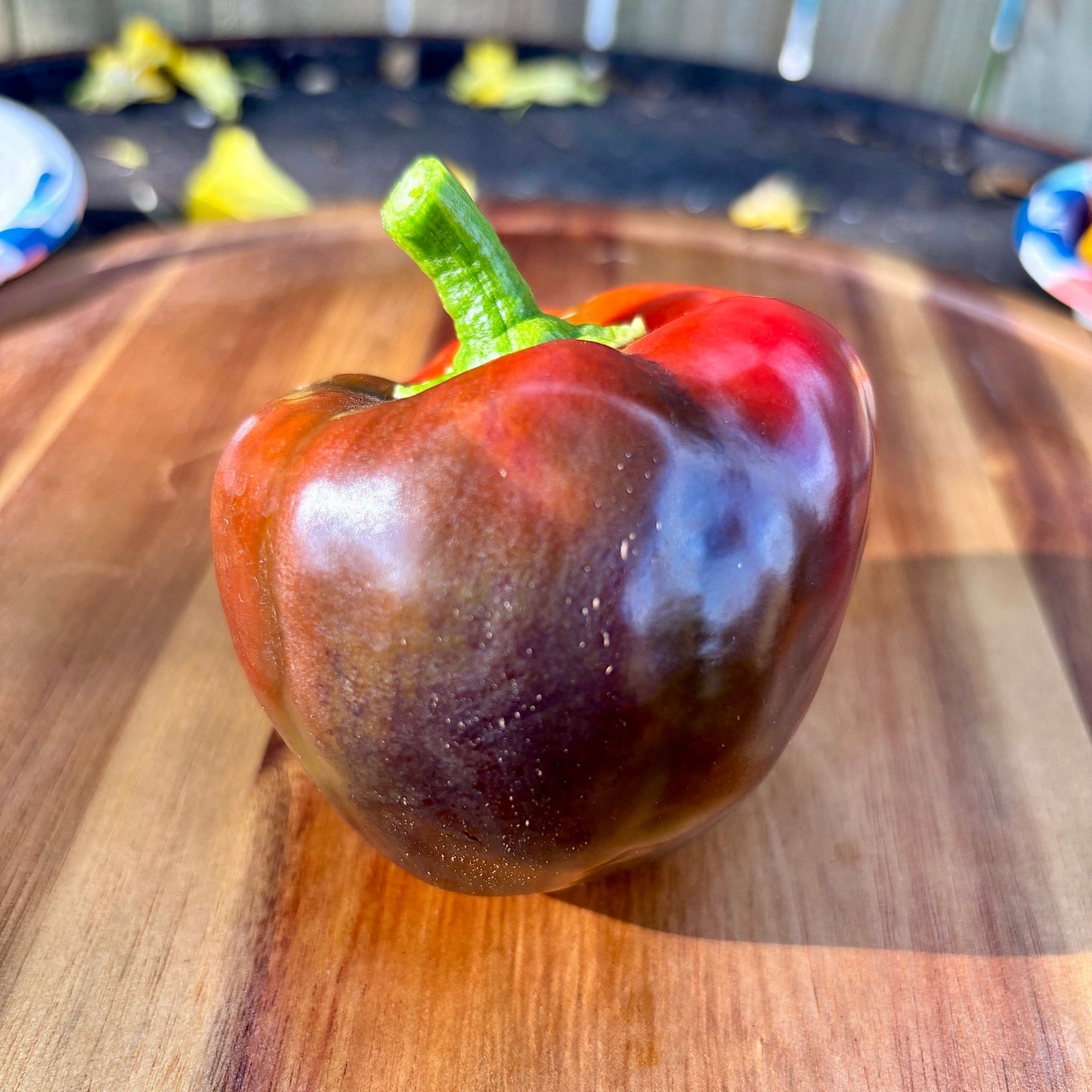 LESYA SWEET PURPLE PEPPER SEEDS