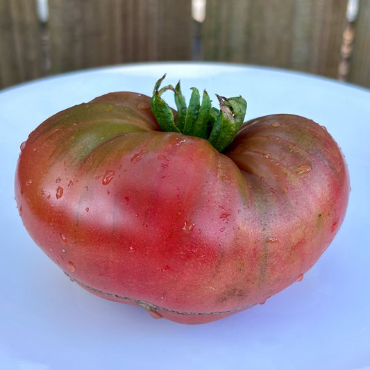 CRIMSON SOCKEYE DWARF TOMATO SEEDS