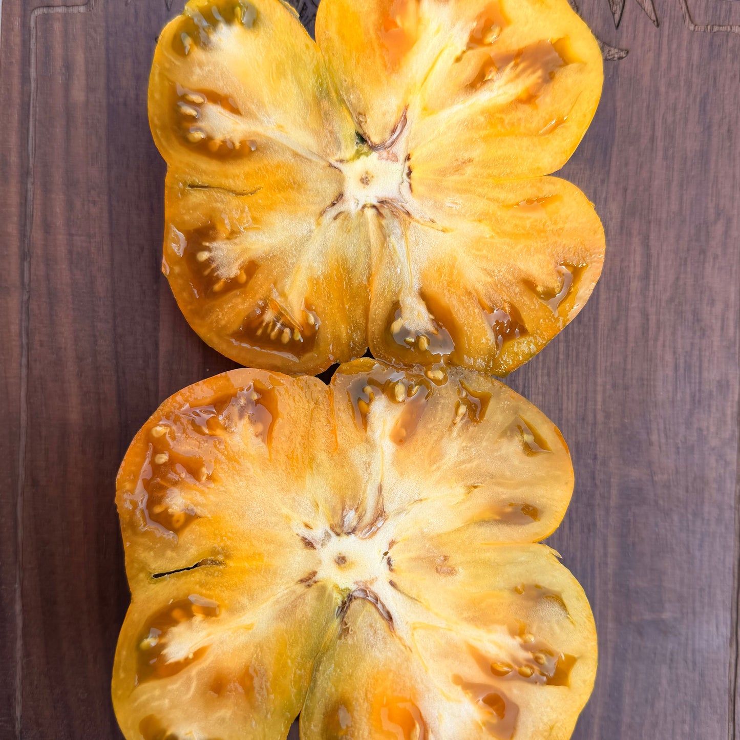 KOZULA 83 TOMATO SEEDS