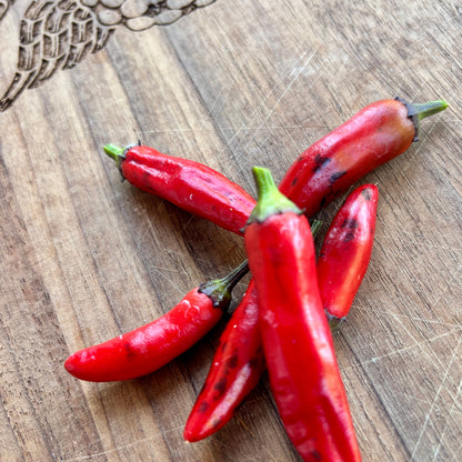 MUTANT DRACULA PEPPER SEEDS