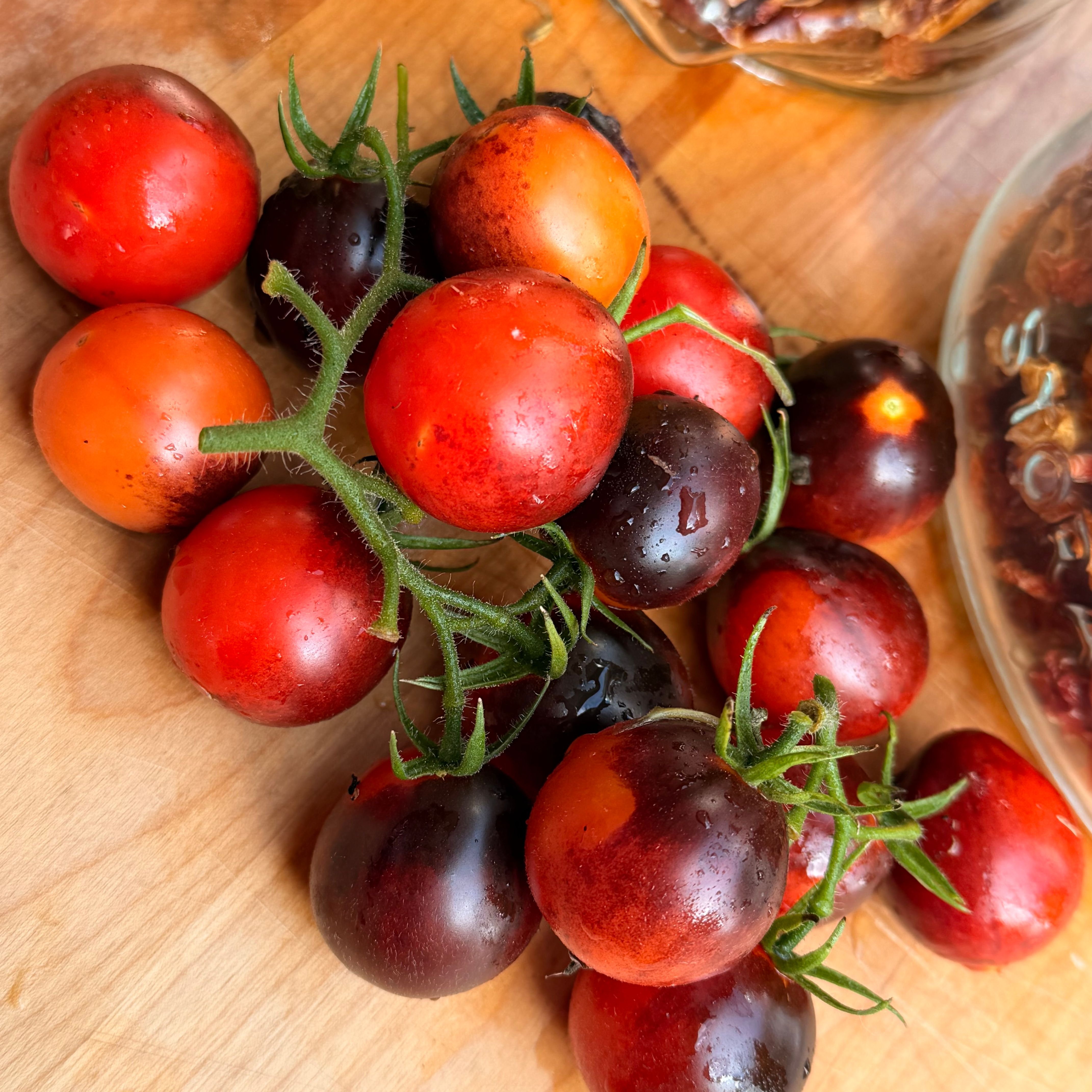 MASTER TOMATO SEEDS – Secret Seed Cartel