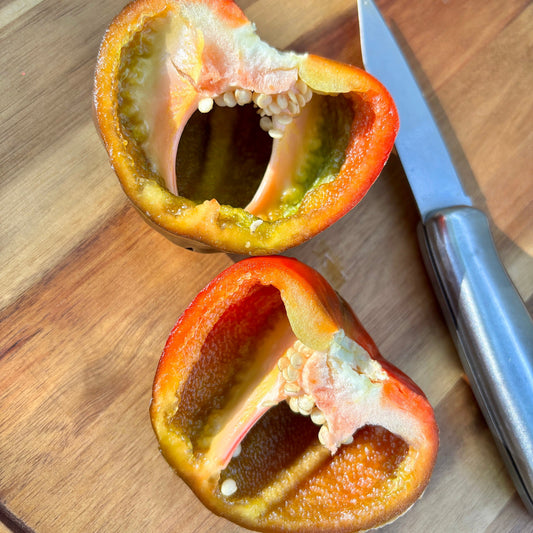LESYA SWEET PURPLE PEPPER SEEDS