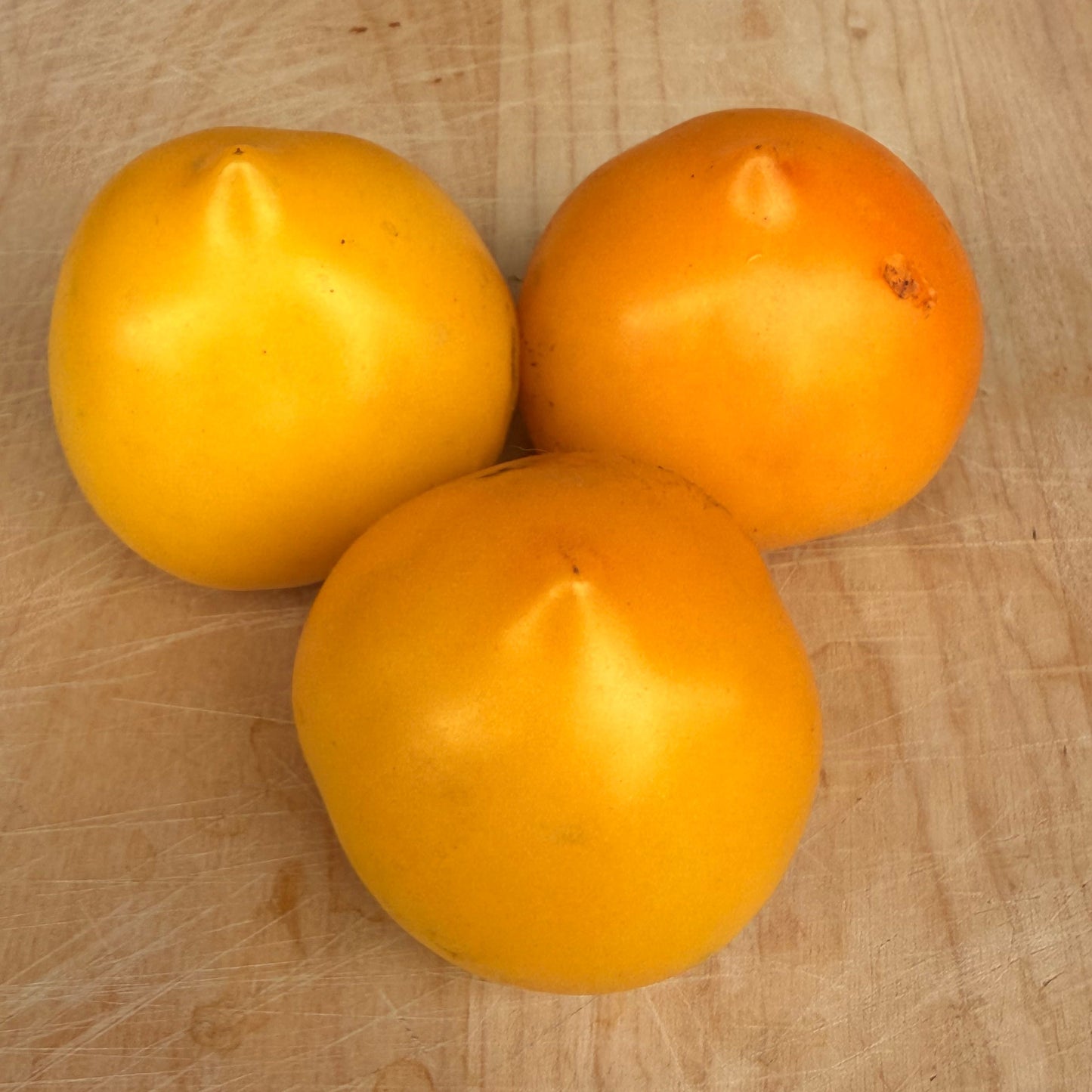 Anna German Tomato Seeds