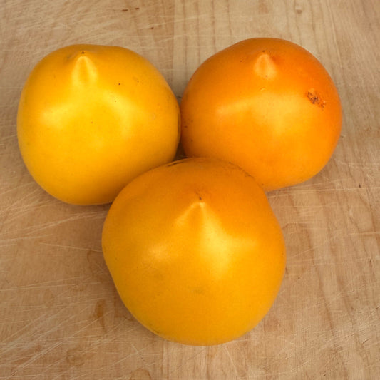 Anna German Tomato Seeds