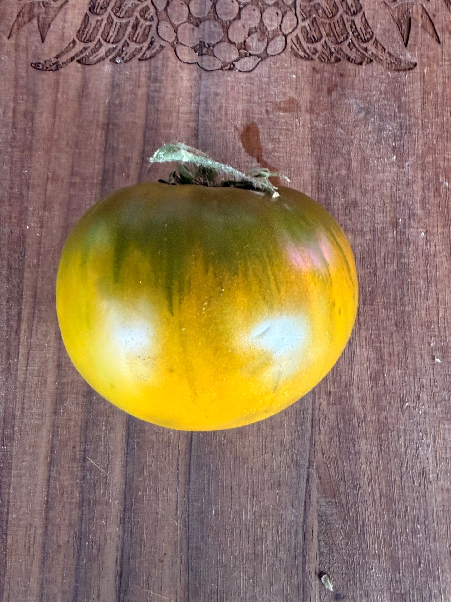 RACER X TOMATO SEEDS