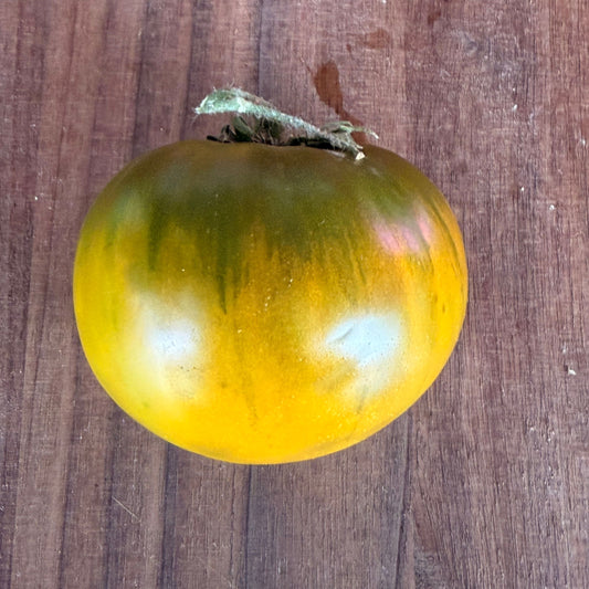 RACER X TOMATO SEEDS