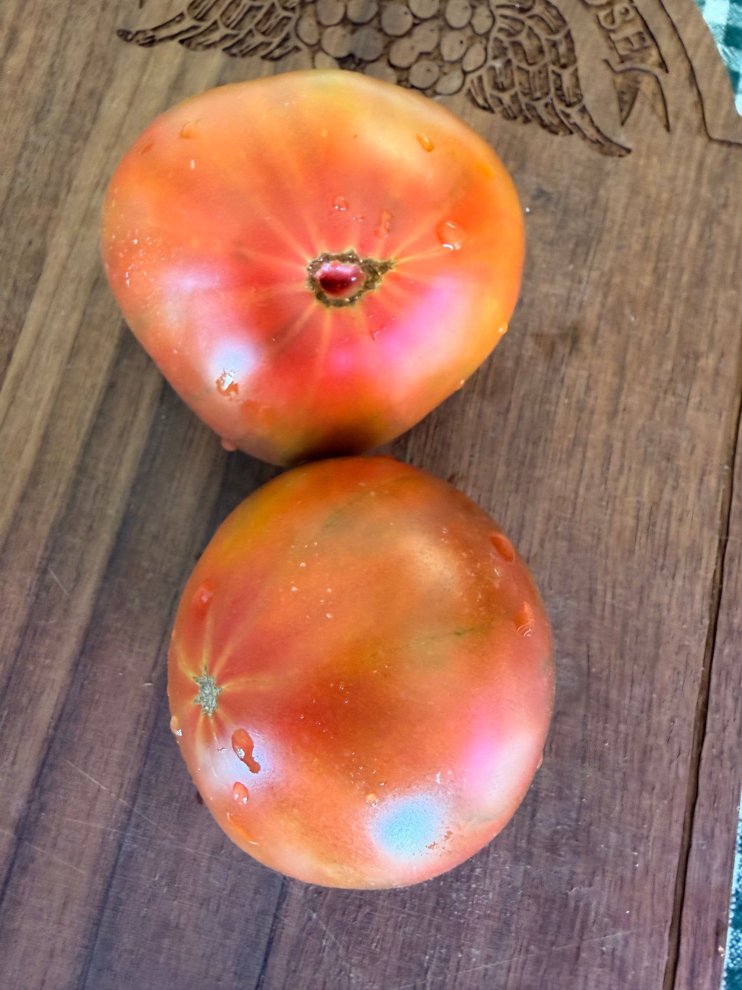 MAPLE HEART TOMATO SEEDS